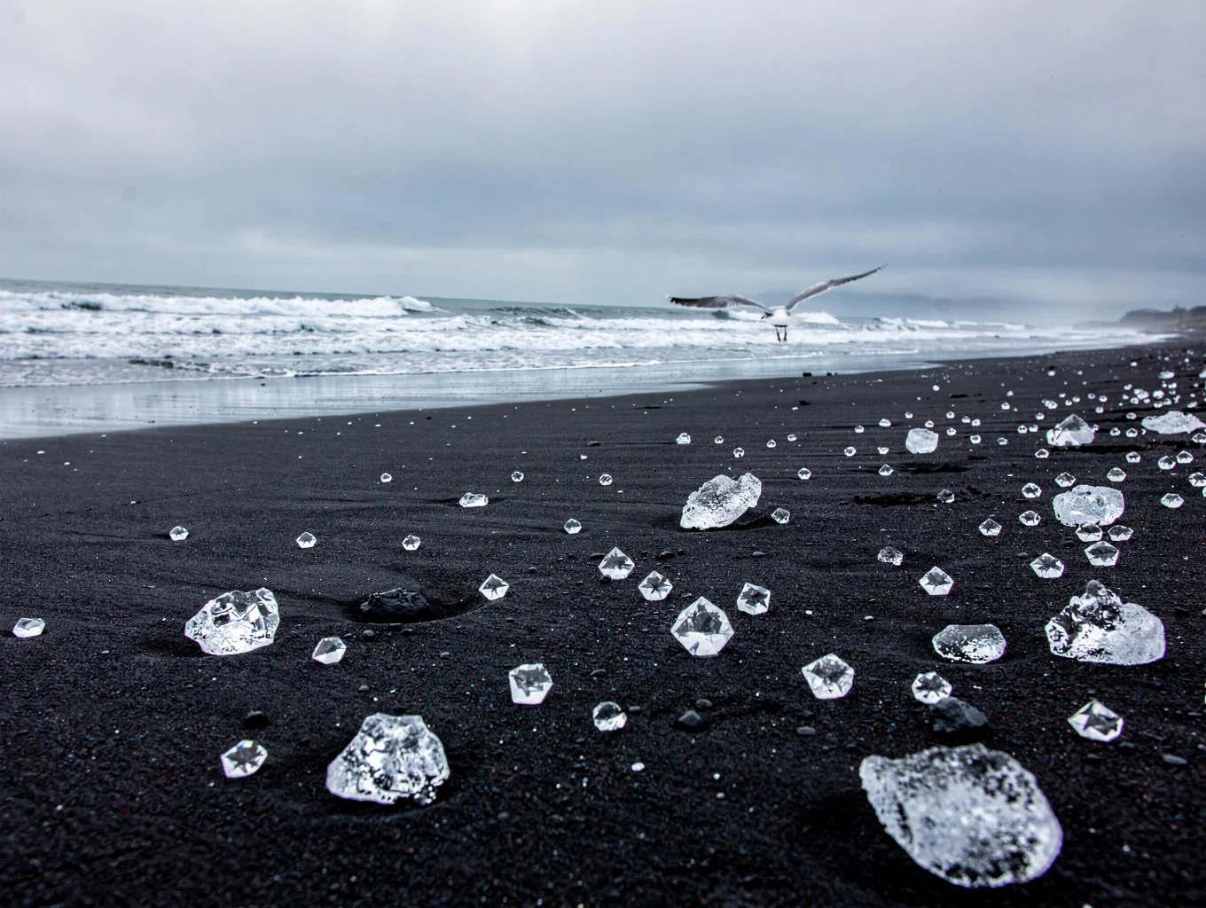Calved glacial ice on black volcanic sand in Iceland